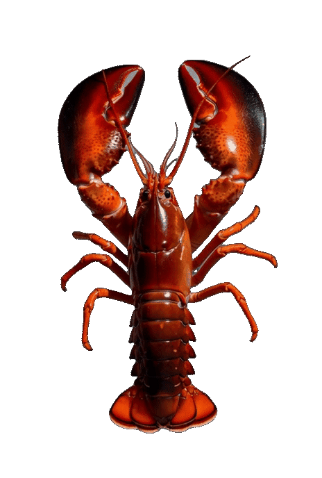 NowCast Labs Lobster